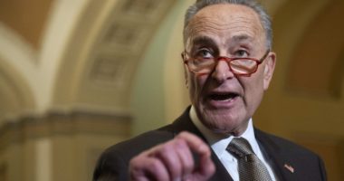 Kreu i demokratëve në Senat, thirrje DASH: Mbështesni kërkesën e diasporës shqiptare