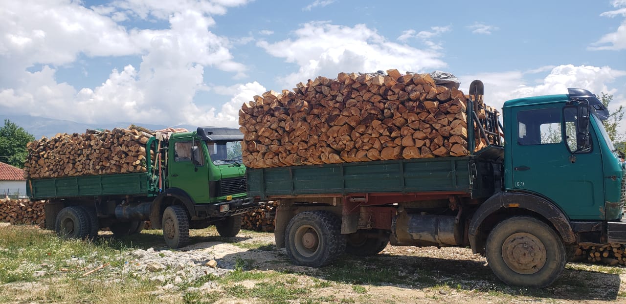 Preja e paligjshme e pyjeve, nën hetim 5 punonjësit e administratës së zonave të mbrojtura