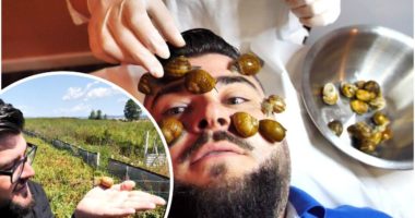 Kërmilli, butaku që të pasuron, pastron dhe ushqen – Nëpër Shqipëri