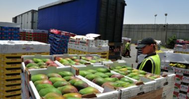 20 grup-mallrat më të importuara në 4-mujor, dominojnë ushqimet