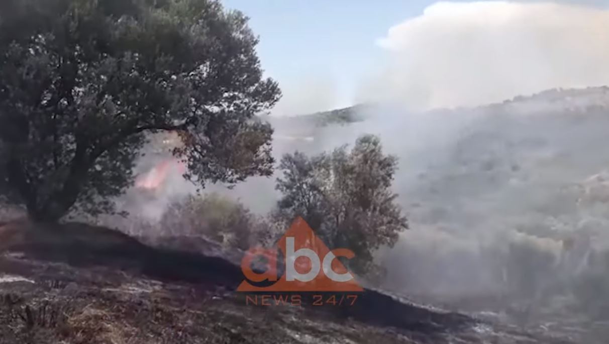 VIDEO/ Marrin flakë ullishtet në Patos, mbërrijnë zjarrfikëset