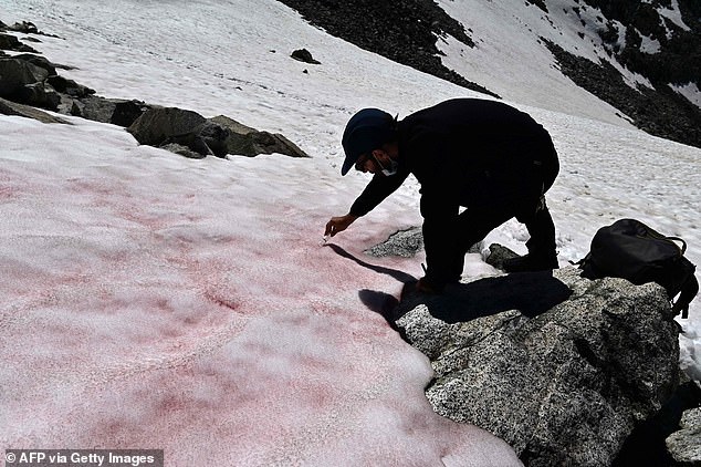 Fenomen i pazakontë në Itali, akullnaja bëhet rozë në Alpe