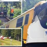 FOTO/ Përplasen dy trena në Çeki, shënohen disa viktima