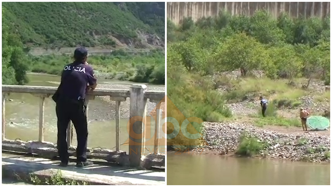 VIDEO/ Zbulohen parcela me kanabis në Librazhd, nën hetim kryeplaku i një fshati e dy zyrtarë të tjerë