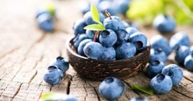 Pse boronicat janë kaq të shëndetshme?