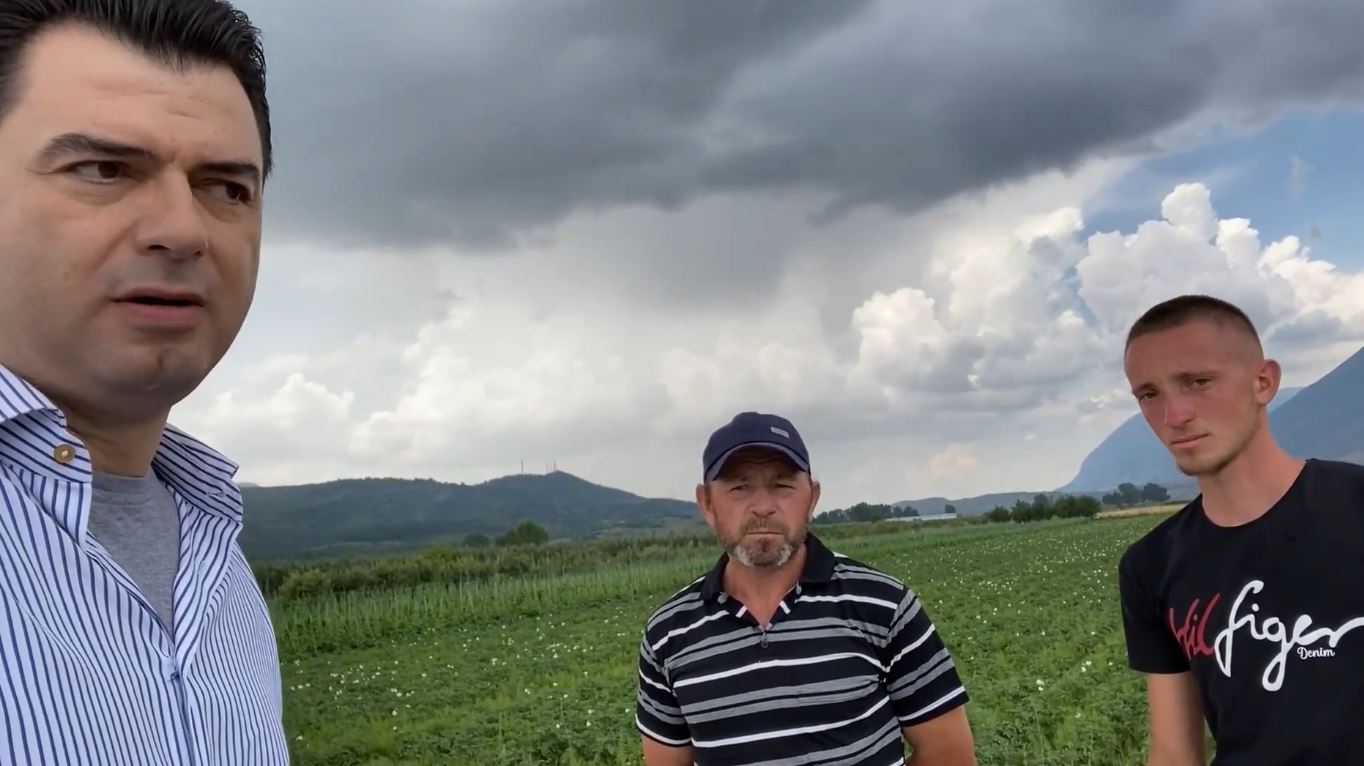 “Nuk na shitet patatja”, Basha në tokat e fermerëve të Devollit