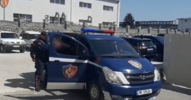 Dënohet me 3 vite burg Roland Kryemadhi, akuzohet për keqtrajtim të fëmijëve të tij