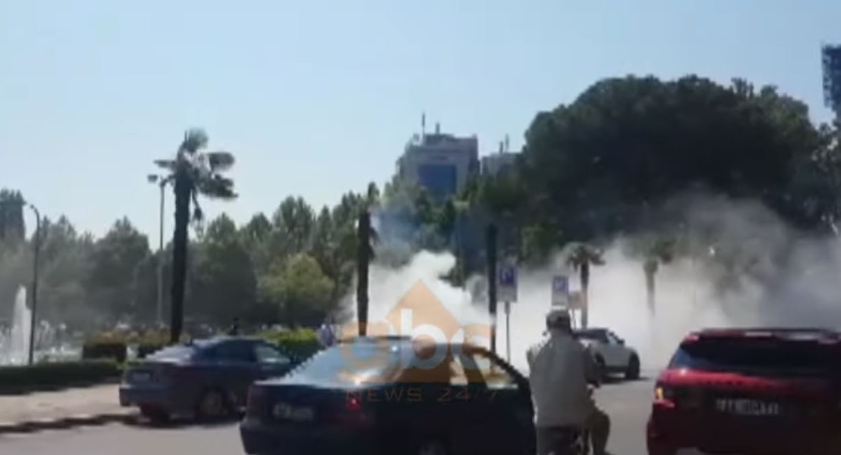 VIDEO/ Merr flakë palma, tymi përhapet në gjithë zonën në qendër të Tiranës