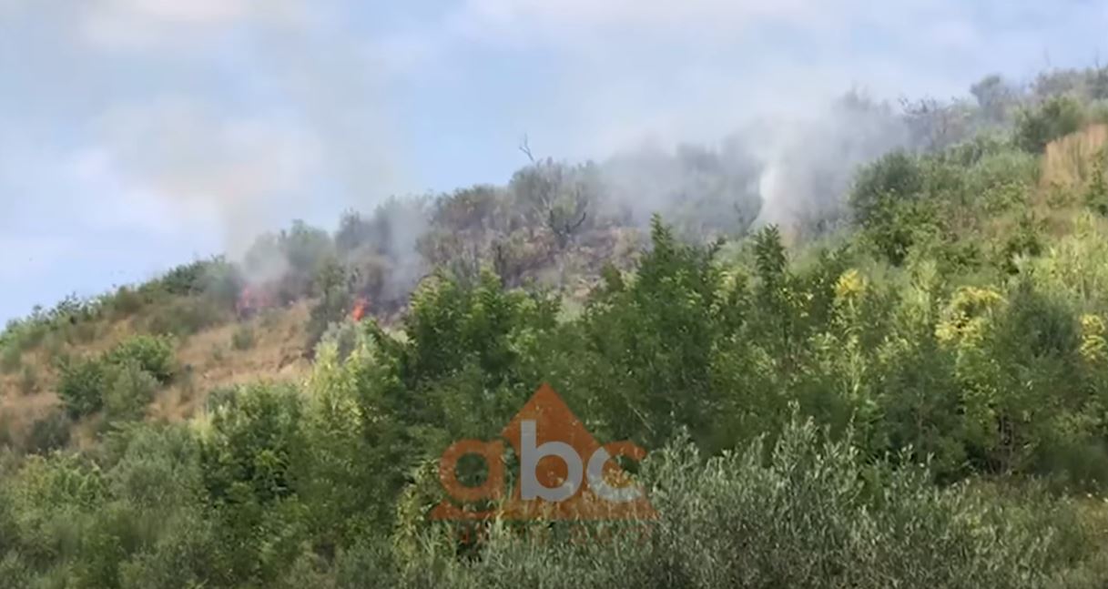 VIDEO/ Përfshihet nga flakët një sipërfaqe ullishteje në Kodrën e Levanit