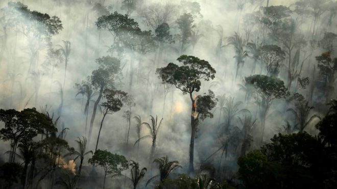 Pavarësisht masave të marra, “shpërthejnë” vatrat e zjarrit në Amazonë