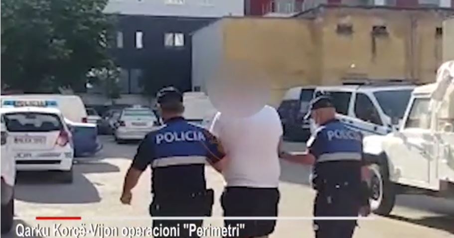 Albanian Police caught a 24 year old transporting illegal immigrants