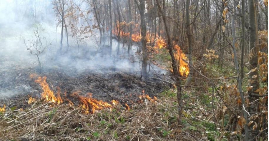 The armed forces of Albania are engaged in the extinction of the fires