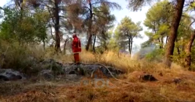 Flakët përfshijnë pyllin e pishave në Malin e Taraboshit, zjarri i afrohet banesave