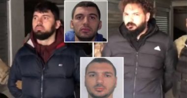 Kërkohet deklarimi i pasurisë, OFL “troket” në derën e dy vëllezërve Çala në Elbasan