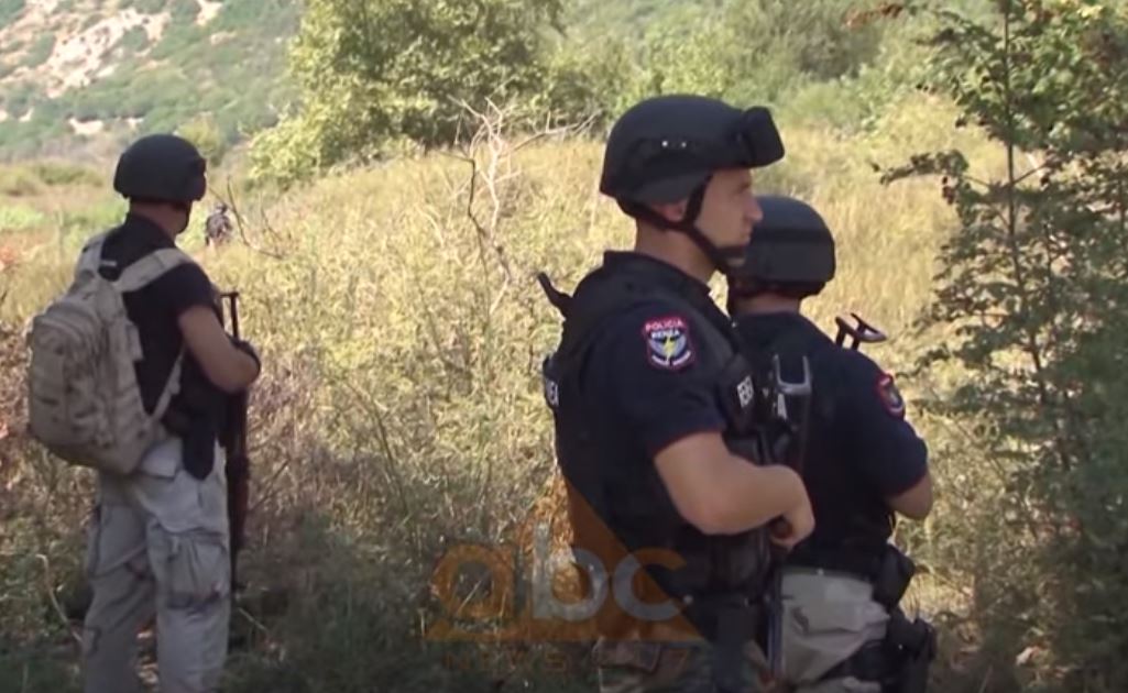 80 të arrestuar për kanabis në 6 muaj, Malësitë e Krujës e Shkodrës, zonat me problematike