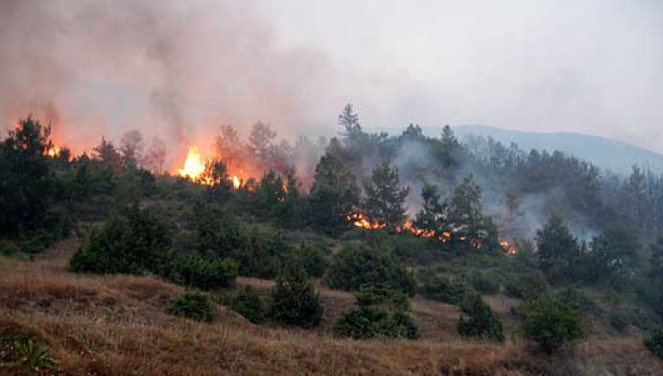 Zjarri përfshin zonën e Llamanit në Himarë