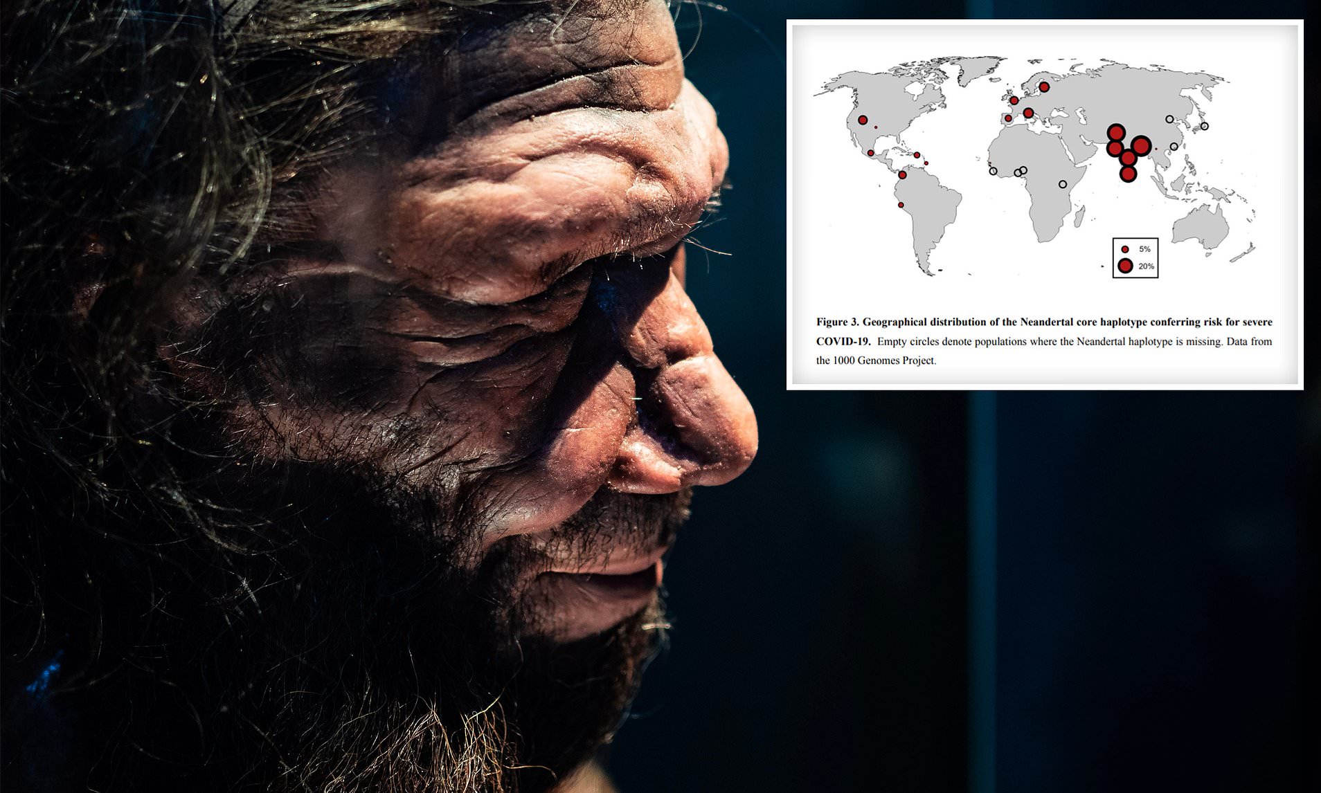 Studimi: Gjenet e “Neandertalit” mund të rrisin rrezikun për Covid-19, cilat vende preken