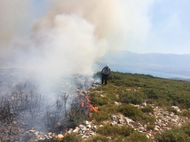 Të gjithë në aksion, shuhet pas 12 orësh zjarri në Karaburun