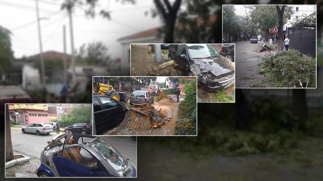 VIDEO/ Erërat e forta thyejnë pemët, dëmtohen makinat në Shkodër