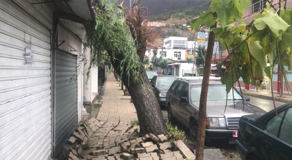 FOTO/ Pasojat e motit të keq në Bulqizë, rrëzohen disa pemë, shkëputet energjia elektrike