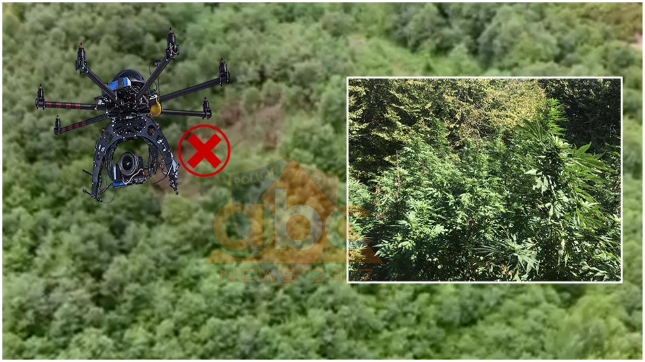 Çfarë zbuloi droni në pyjet e Gramshit, dy të arrestuar