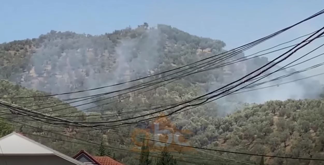 VIDEO/ Përfshihet nga flakët një sipërfaqe me ullishte në Elbasan