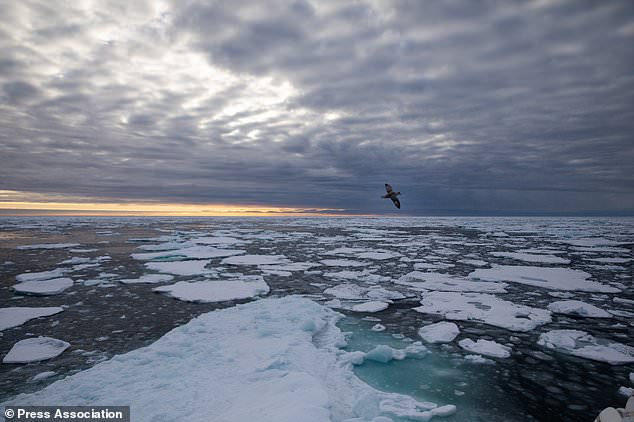 Valët e nxehtësisë dhe zjarret në pyje, akulli në Arktik bie në nivele rekord