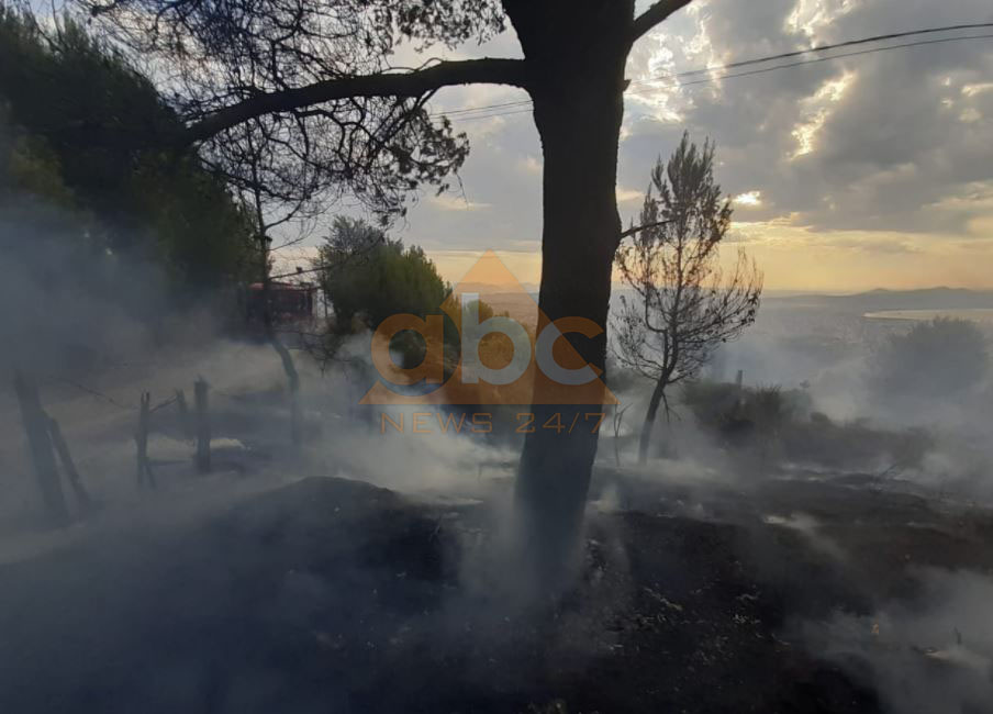 Vatër e madhe zjarri në Kallm të Durrësit, dhjetëra zjarrfikës në përpjekje për të shuar flakët
