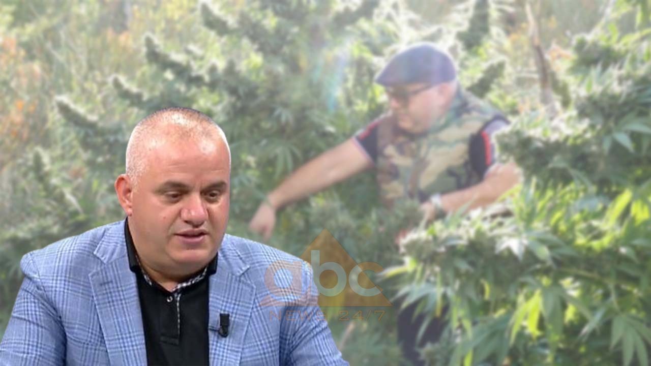 Dy arsyet e kanabizimit, Hoxha: Kam aq filmime sa s’di ku t’i çoj! Me një parcelë futesh në Kuvend