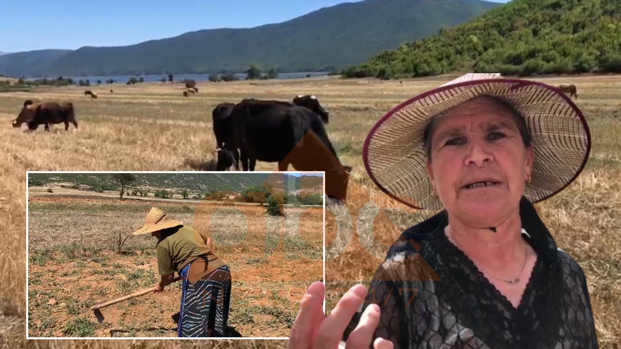 Jetesa e vështirë e banorëve të Pustecit, mungesa e investimeve ka detyruar të rinjtë të emigrojnë