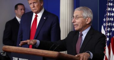 Donald Trump: Faucin mund ta shkarkoj pas zgjedhjeve