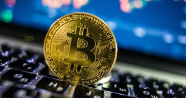 Bitcoin, mbi 100 milionë njerëz humbasin paratë e tyre