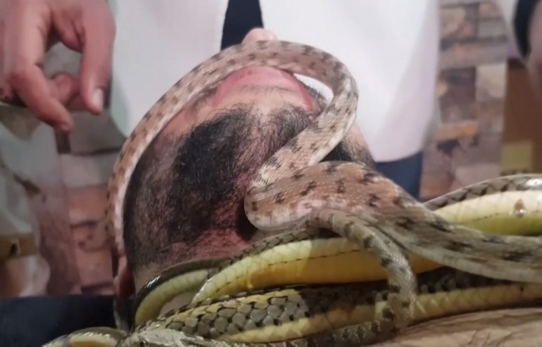 Masazhi i pazakontë me gjarpërinj në Egjipt, sa kushtojnë 30 min