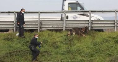 Gjendet valixhja e katërt në Firence, konstatohen shenjat e gishtërinjve të Shpëtim Pashos