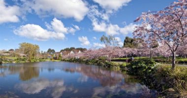 Puna që paguhet 400 mijë dollarë por askush nuk e pranon