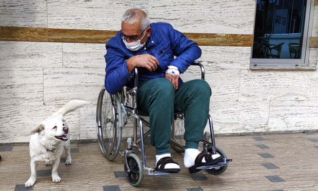 Qeni besnik pret të zotin para një spitali në Turqi, deri ditën që shërohet