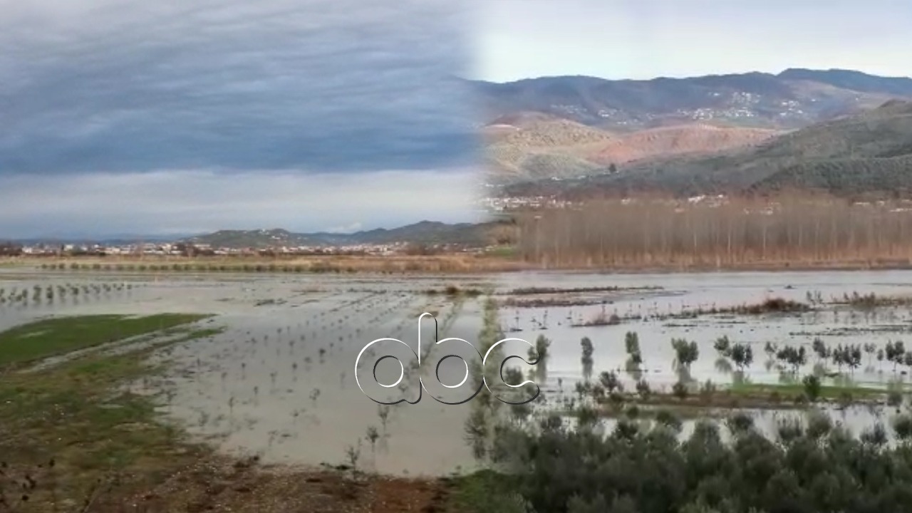 Reshjet e dendura, 15 ha tokë bujqësore në Berat nën ujë