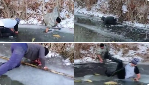 VIDEO/ Ngrin lumi, banorët vrapojnë të kapin peshqit e ngecur në akull