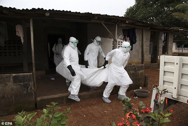 Rikthehet frikshëm Ebola, pesë të vdekur në Guinea