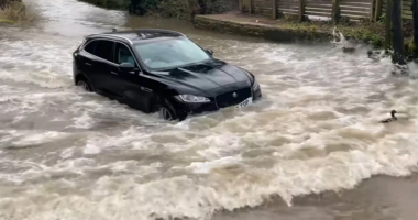 Kur ke një super “Jaguar”, por nuk ke mend