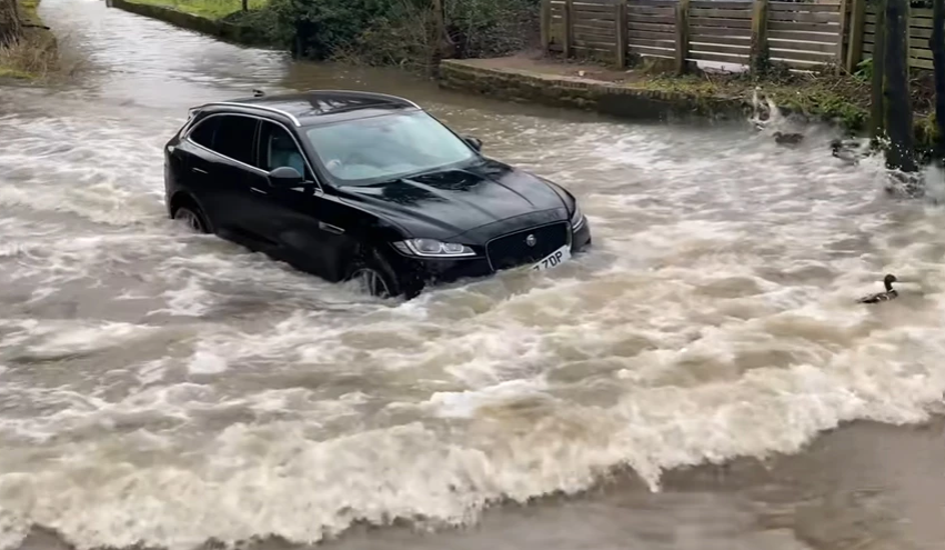 Kur ke një super “Jaguar”, por nuk ke mend