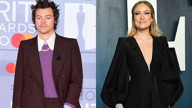 Pavarësisht kritikave, Olivia Wilde dhe Harry Styles ndërmarrin hapin e madh