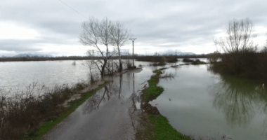 Rritje të nivelit të ujit dhe ujësjellësja jashtë funksionit, situata në Qarkun e Shkodrës