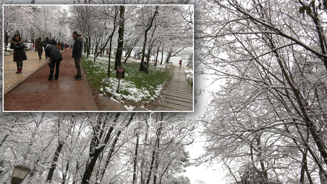 Tirana feston borën dhe “Shën Valentinin”, qytetarët mbushin rrugët