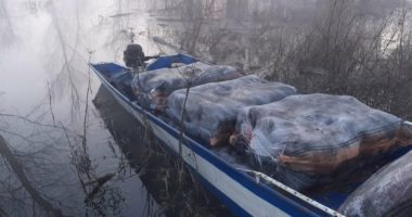 Sekuestrohen 222 kg marijuanë në liqenin e Shkodrës, në pranga 2 malazezë