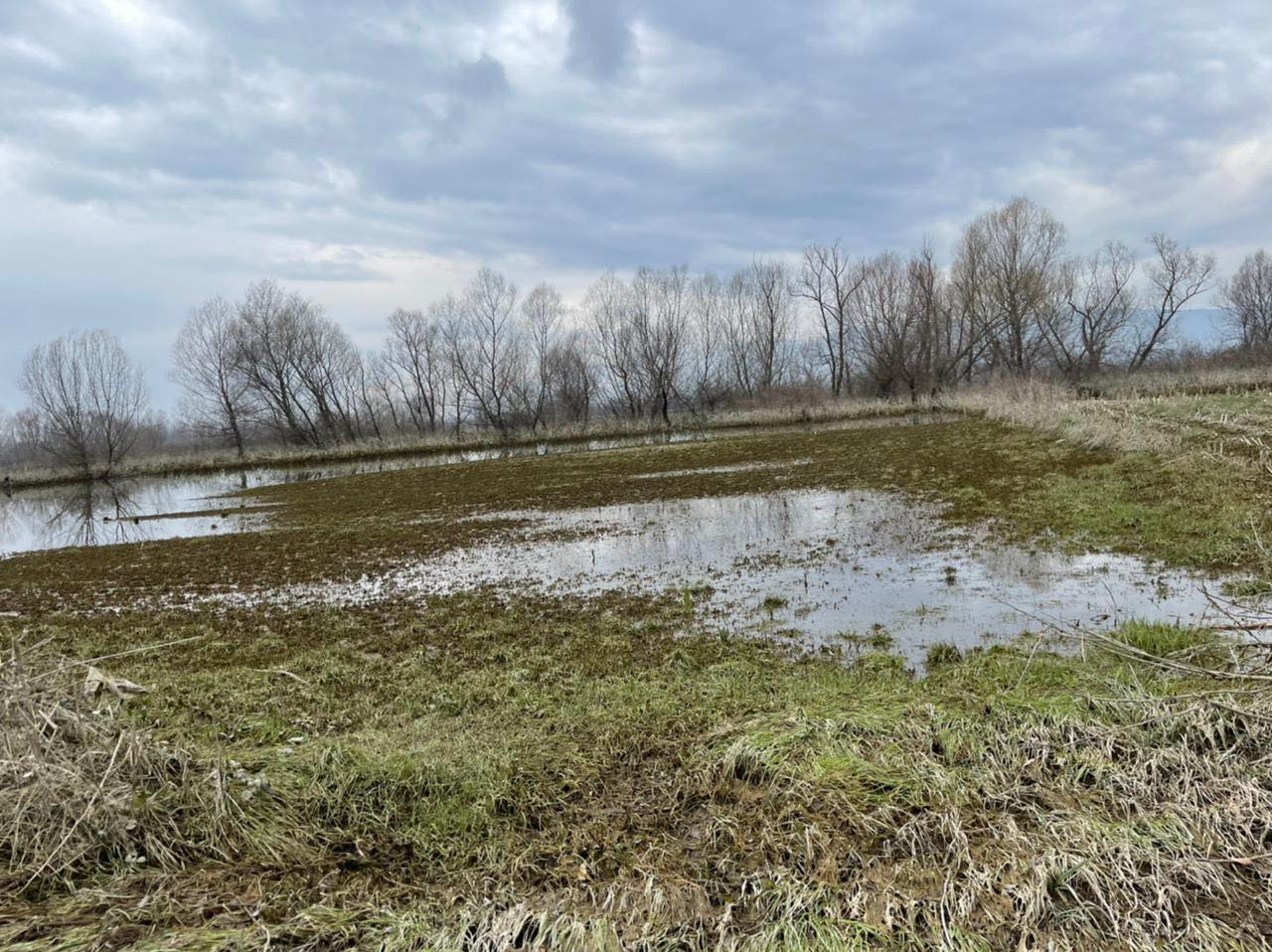 1625 sipërfaqe toke ende nën ujë, Bashkia e Shkodrës bën bilancin e përmbytjeve