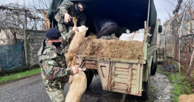 Përmbytjet, nis evakuimi urgjent në Shkodër