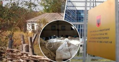 Grupi i Shijakut dhe vëllai i ish-deputetit, 128 vite burg për 17 të akuzuarit për heroinën në Has