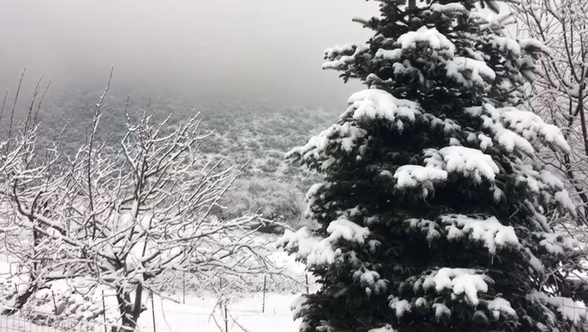 Llogaraja e mbuluar nga bora, si është gjendja e rrugës