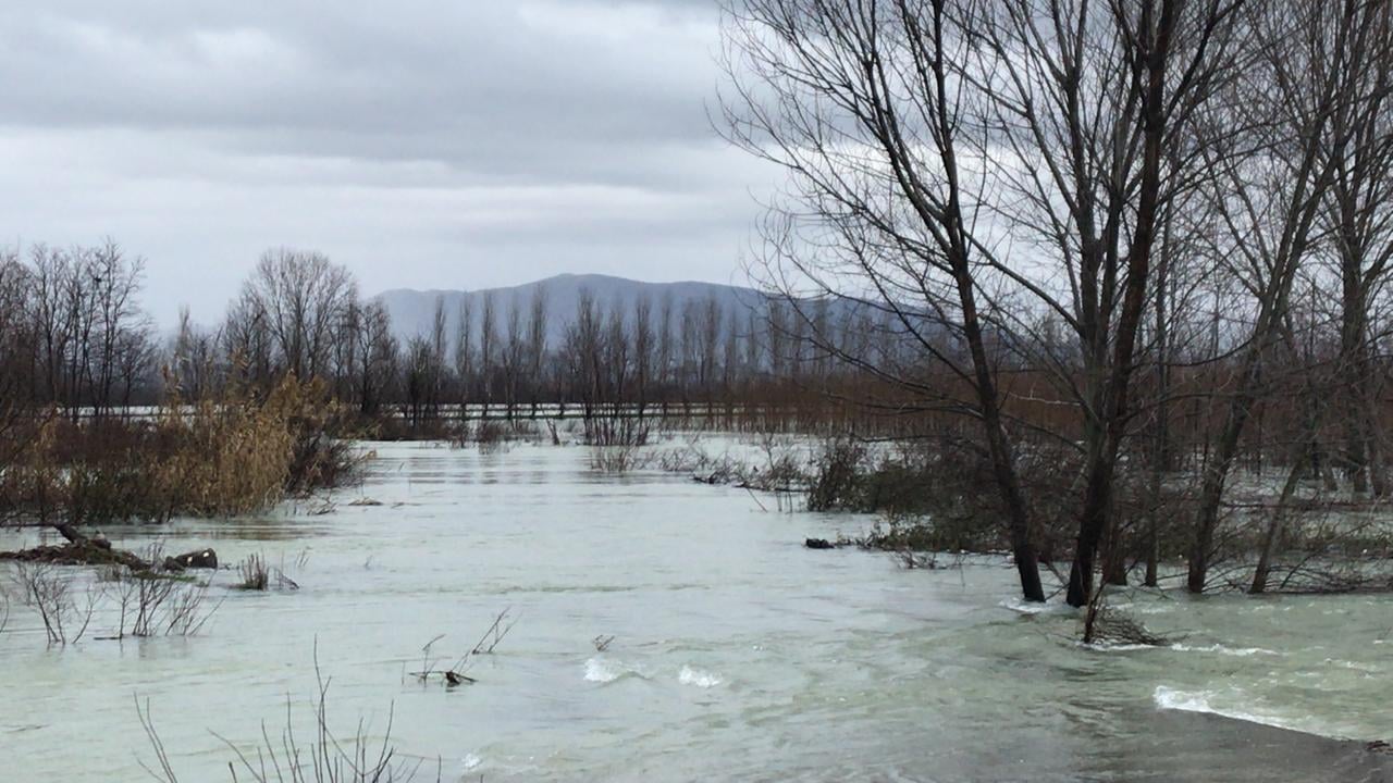 5370 hektarë tokë nën ujë, bashkia Shkodër bën bilancin e përmbytjeve